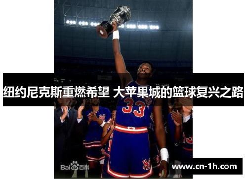 纽约尼克斯重燃希望 大苹果城的篮球复兴之路