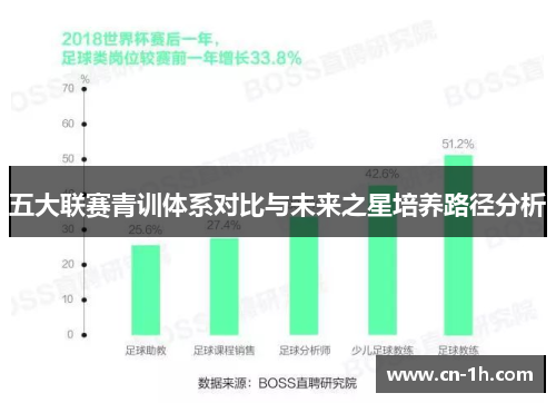五大联赛青训体系对比与未来之星培养路径分析